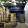строительство фруктохранилищ в Крыму . в Белогорске 8