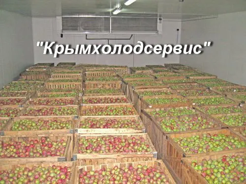 строительство фруктохранилищ в Крыму . в Белогорске 6
