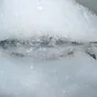 льдгенераторы чешуйчатого льда в Владивостоке