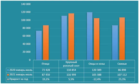 За год в России больше всего подорожали свиньи