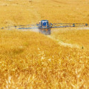Воронежсельмаш в 2021 году удвоил объем производства зерносушилок и зерноочистительной техники