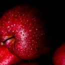 "Алма Продакшн" оптимизирует процесс упаковки яблок