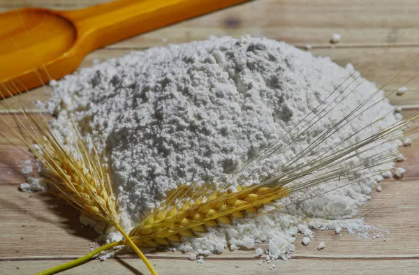 Для переработки органической пшеницы в муку агрохолдинг «Дон Агро» приобрел мукомольный комбинат