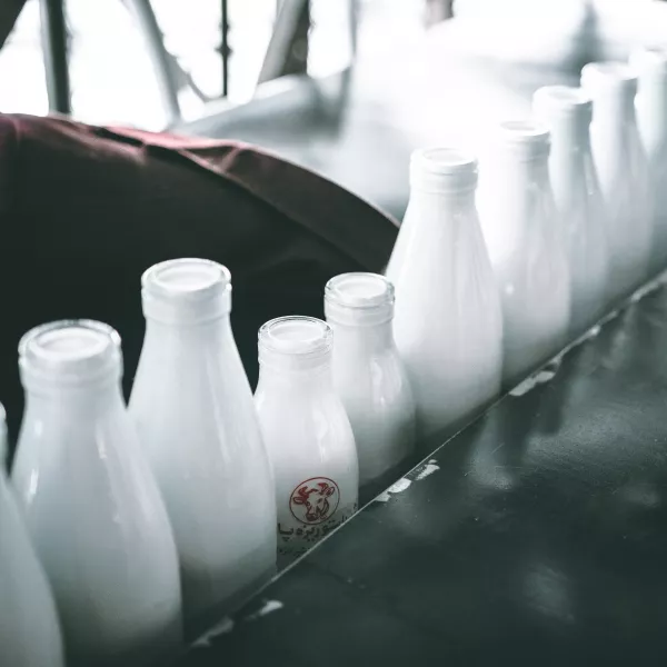 В Ленинградской области вводят в строй отечественный комплекс по производству упаковки и розливу молока