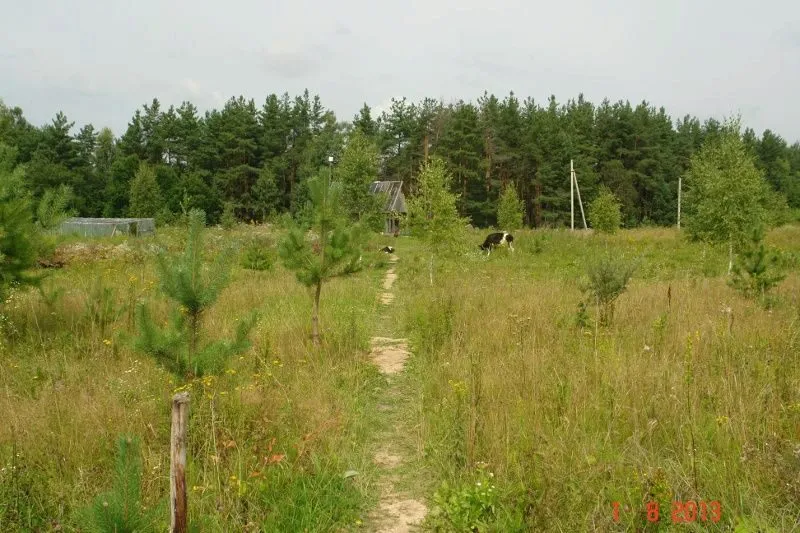 земельный участок 20га в Калужской обл. в Мосальске 2