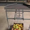 линия для калибровки яблок в Республике Беларусь