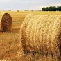 шпагат сеновязальный в Нижнем Новгороде и Нижегородской области