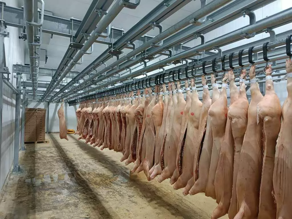 производство подвесных путей в Екатеринбурге и Свердловской области 4