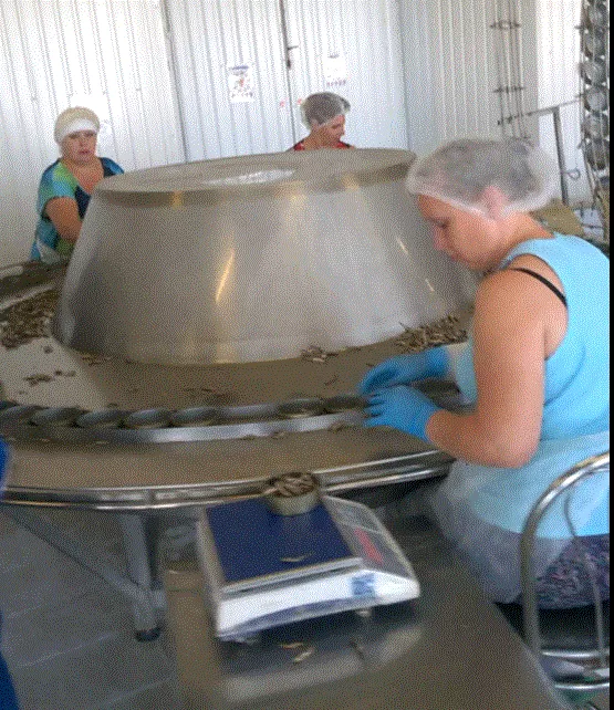 Фотография продукта Стол фасовочный круглый