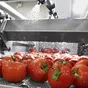 продажа оборудование для сельхозпродукт  в Москве 9