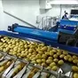 продажа оборудование для сельхозпродукт  в Москве 3