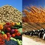 продажа оборудование для сельхозпродукт  в Москве 7