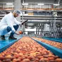продажа оборудование для сельхозпродукт  в Москве 6