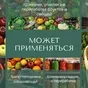 фотокаталитический очиститель и озон в Республике Беларусь 5