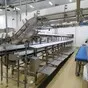 конвейеры для ручной разделки рыбы в Москве 3